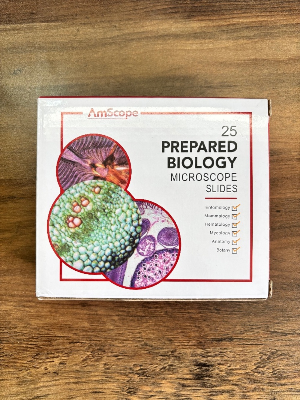 NEW AmScope 25 Prepared Biology Microscope Slides Etymology Hematology Wood Case